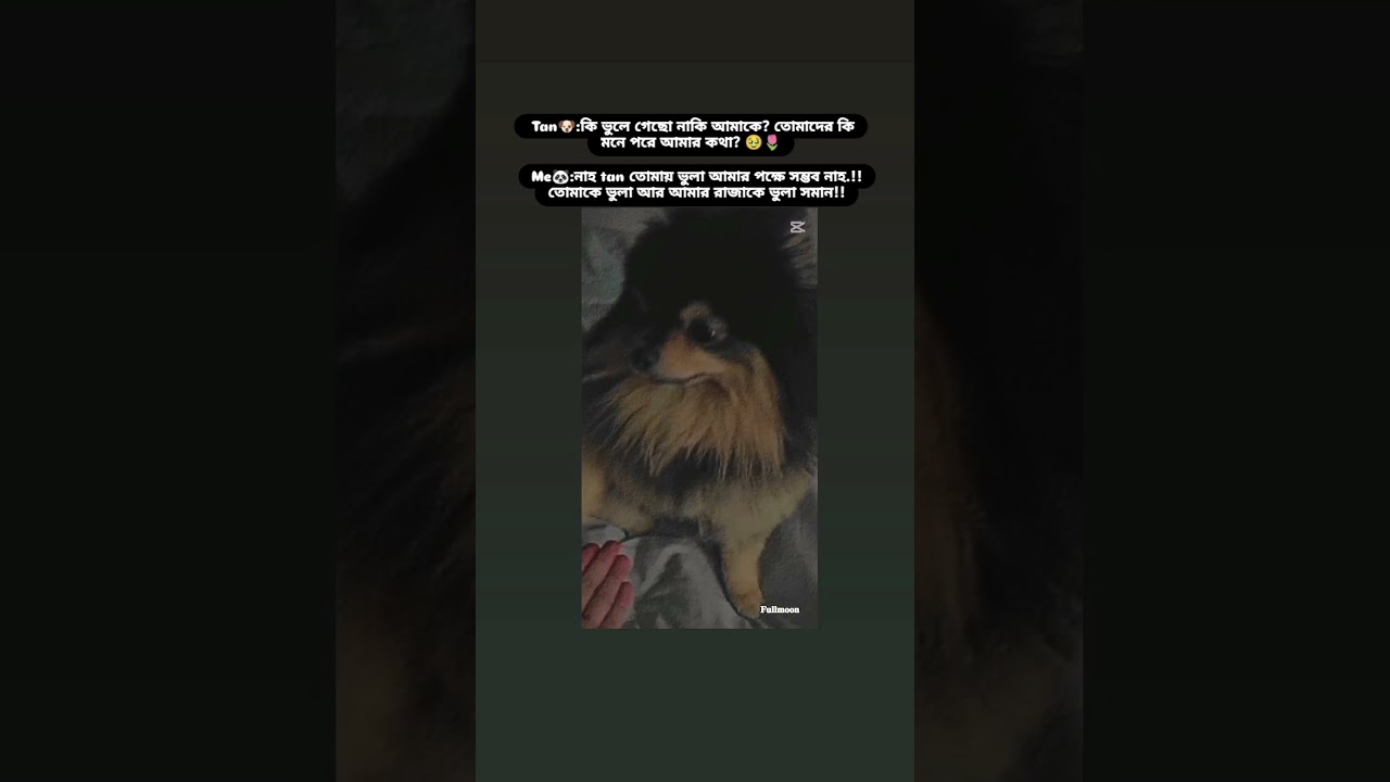 মনে আছে কি? #jhop #btsjhopeedit #bts