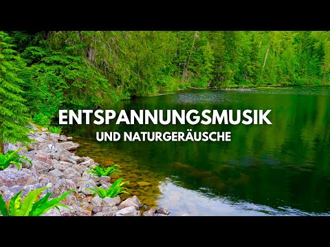 Ruhige Musik mit Wasser- und Naturgeräuschen hilft Ihnen beim Entspannen