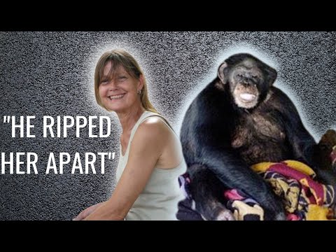 Chilling 911 Call: The Full Story of the 2009 Chimp Attack | Travis the Chimp and Charla Nash