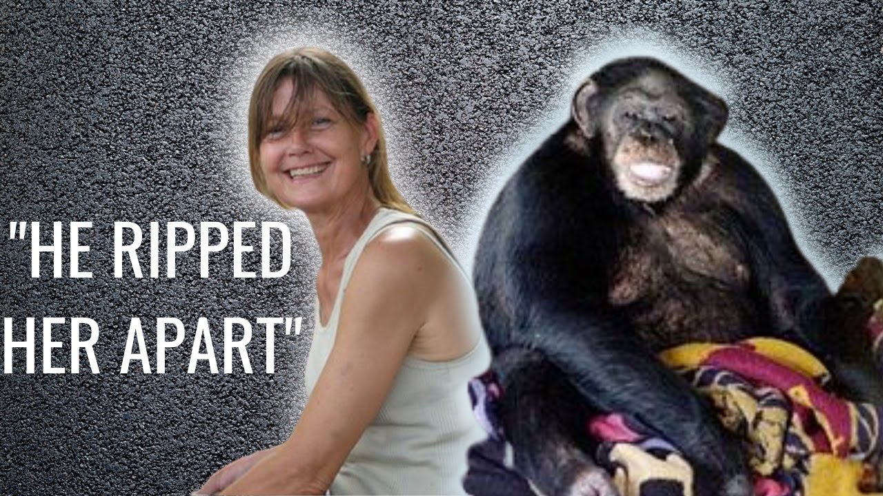 Chilling 911 Call: The Full Story of the 2009 Chimp Attack | Travis the Chimp and Charla Nash