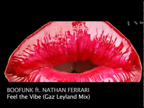 Boofunk ft. Nathan Ferrari - Feel The VIbe (Gaz Leyland Remix) (preview)