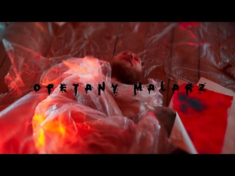 RAPUNARKOMAN - OPĘTANY MALARZ