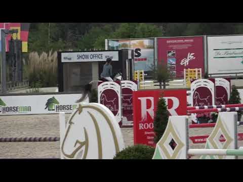 Montego v. Mylord carthago mare 2013