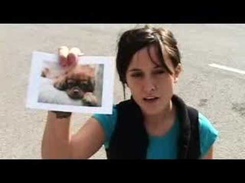 Video thumbnail for My Dog Was Lost but Now He’s Found