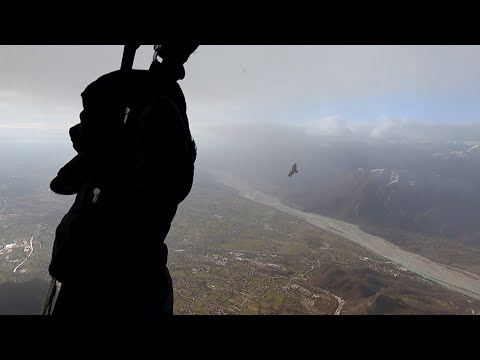 Cuarnan Neve Grifoni !