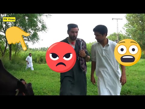 Qurbani Ao Ghal Funny Video By PK Vines 2019 | PK TV Video