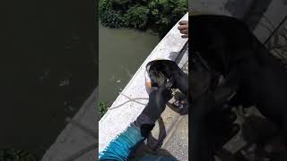 chama a atenção o COLAR neste vaso!