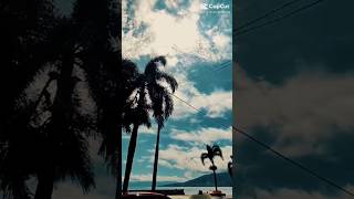 Download lagu Healing Thailand CapCut Template | How to make video with Healing Thailand Template. #capcuttemplate mp3 Download lagu Healing Thailand CapCut Template | How to make video with Healing Thailand Template. #capcuttemplate mp3