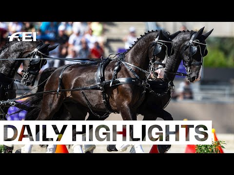 Record-breaker Boyd shines bright in Hungary! ✨ | FEI Driving World Championship 2024 Four-In-Hand