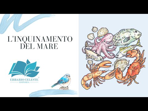 L'Inquinamento del Mare