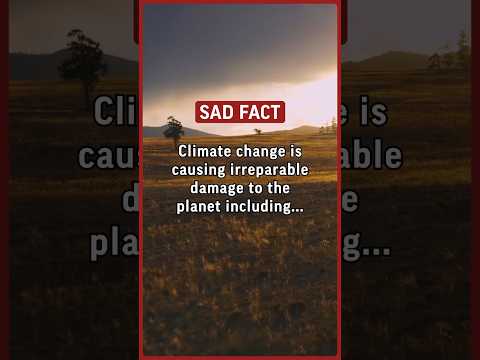 Climate change is causing irreparable damage to the planet, including... #facts #psychology #sad