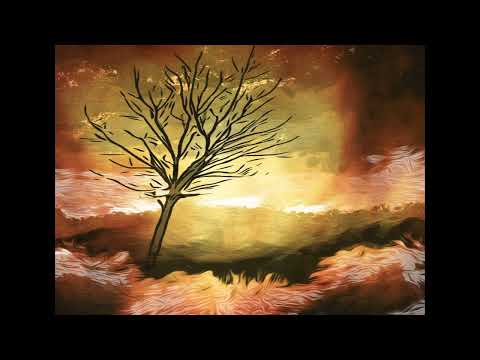 "Burning Down the Trees" (@ 15th Bend & Doorways into Music)