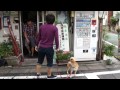 お笑いコンビのぶらり散歩・後編 池袋のお隣、豊島区椎名町仲通り商店会