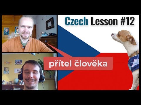 Język czeski. Lekcja #12. Najlepszy przyjaciel człowieka.