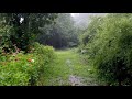 Close Eyes Keep Calm And Enjoy Relax Rain ️ And Thunder Sounds For Deep Sleeping