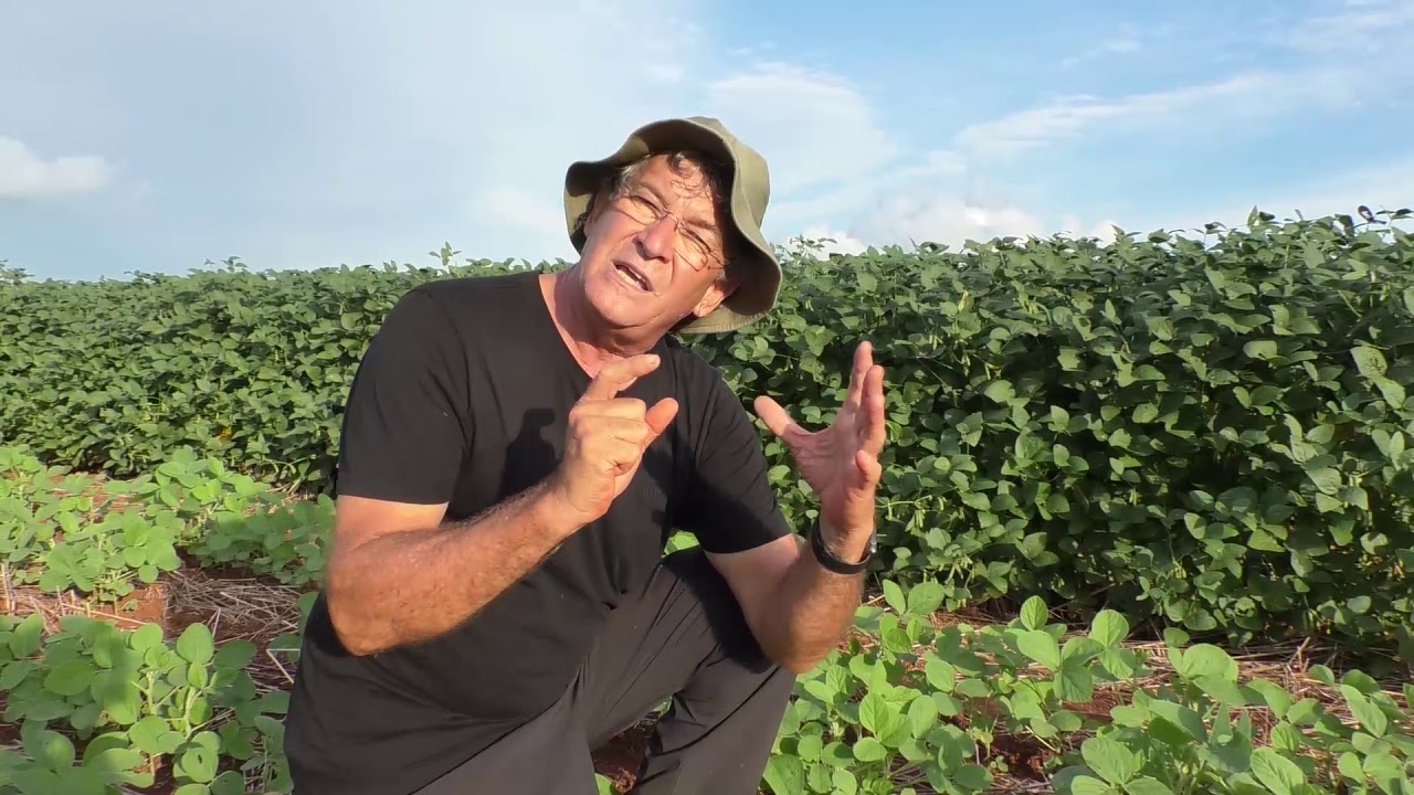 Desafios da Soja - Sementes de Qualidade com Dirceu Gassen