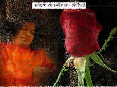 BRAHMARPANAM (ORAÇÃO DO ALIMENTO)