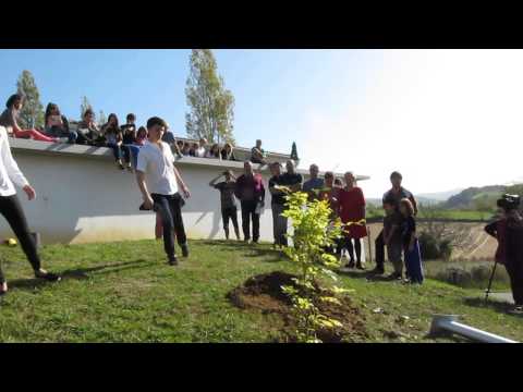 Aiherre-Antzuola: 30 urte (1984-2014)