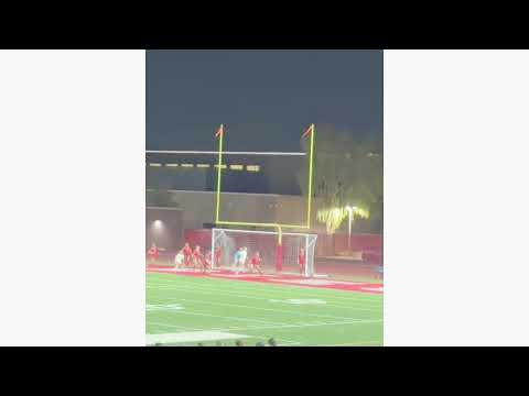 Emily Marks    Goalkeeper of the Year Video