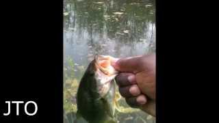 preview picture of video 'HOW TO CATCH LARGE MOUTH BASS'