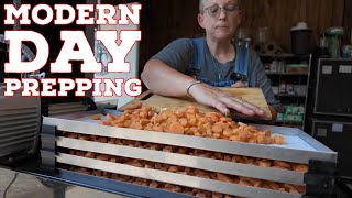 Summer Garden Update – Preparing and Storing The Harvest