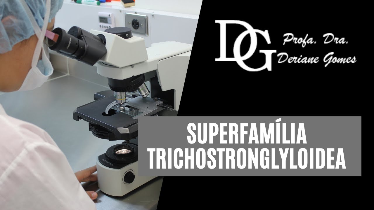 091. TRICHOSTRONGLYLOIDEA: Morfologia e Ciclo da Ostertagia, Haemonchus, Trichostrongylus...