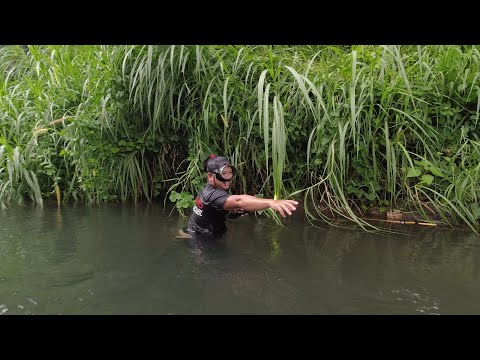 SE02EP31 Part1 - LINTIK Lang ang Walang GANTI | San Pablo City, Laguna