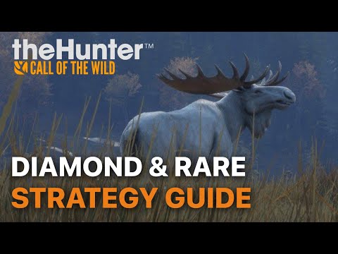 How to Find Diamonds and Rares | the Hunter Call of the Wild