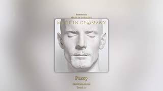 Pussy (Instrumental) - Rammstein