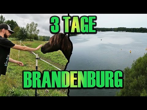 3 Tage Wildnis: Unsere unvergessliche Brandenburger Seenwanderung
