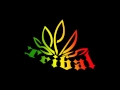 Tribal Seeds - Night Raver
