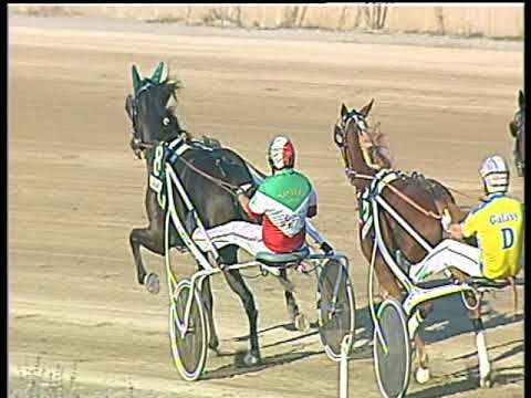 Trotto 13/10/2017 - 5ª corsa