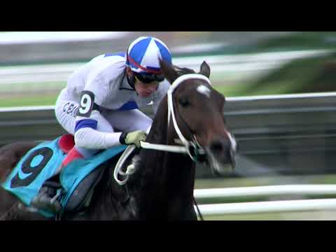 220605 c07 MANGARRUCHO