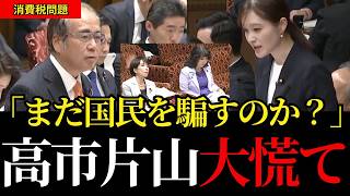 【消費税の闇】「財務省のシナリオ通りか?」国民を苦しめる財務省の国家詐欺を参政党の安藤議員・塩入議員が徹底断罪！【参政党/安藤裕/塩入清香/消費税/減税/高市政権】