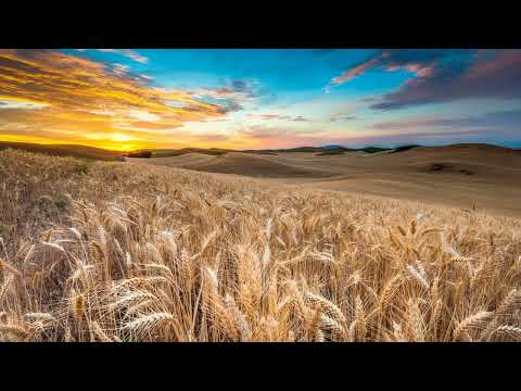 Kita-Kei - Golden Plains Under The Blue Sky (Extended Mix)