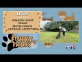 Furry Friday Meet Lewis