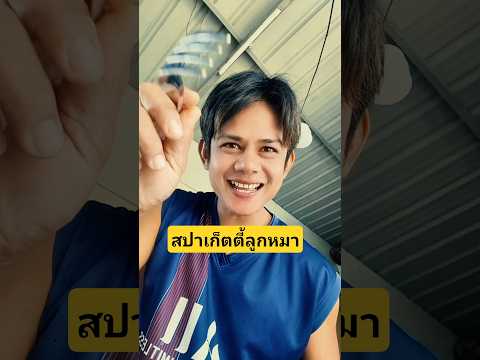 สปาเก็ตตี้หน้าลูกหมาร้องไห้😭 #บังเอิญเจอ #funny #comedy #การแสดงเท่านั้น