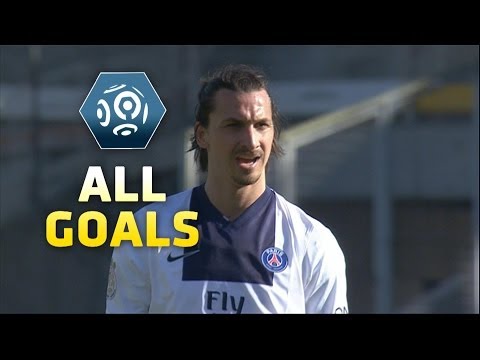 Ligue 1 - Week 26 : Goals compilation - 2013/2014