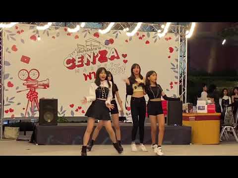 red rose กิ่งไผ่ แคนนี่ ข้าวฟ่าง แอมป์ cover blackpink @centralkorat