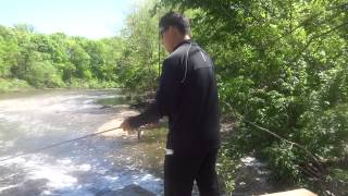 preview picture of video 'Fishing at Tyler State Park (Newtown, PA)'
