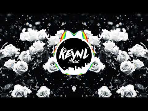 Siedlecky x DVMI - Black Brain