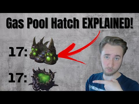 A Safe AND Agressive Build for ALL LEVELS of Starcraft 2!