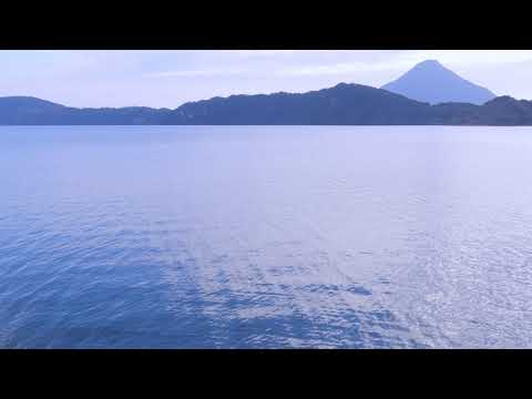 いぶすきの菜の花畑