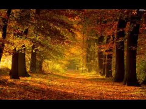 PALUCH & SULIN & MIUOSH-NA DRUGIM KOŃCU ŚWIATA (POLSKIE PODZIEMIE BLEND)+TEKST