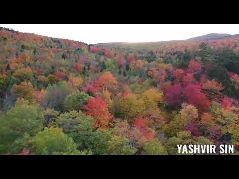 Full natural video songs