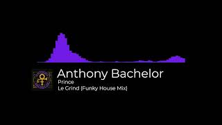 Prince Le Grind (Funky House Mix)