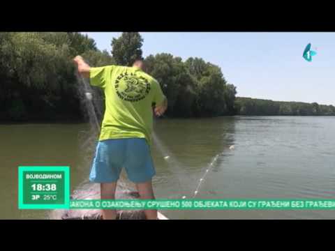 Pune mreže alasa sa Tise