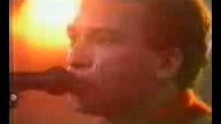 Os Paralamas do Sucesso - Dois Elefantes