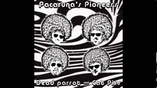 Pacaruna's Pioneers - Mind Pollution