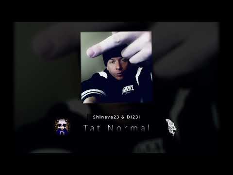 Shineva & DI23I - Tat Normal (#MMD23)